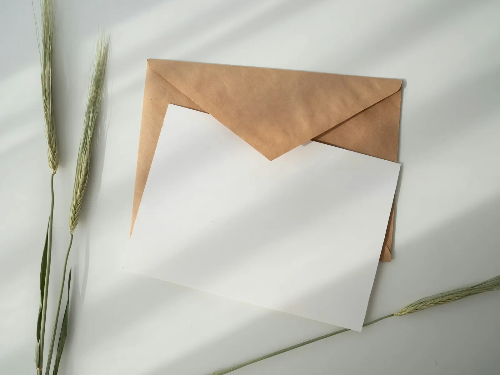 Enveloppes kraft et blanche préparées pour un envoi de courrier