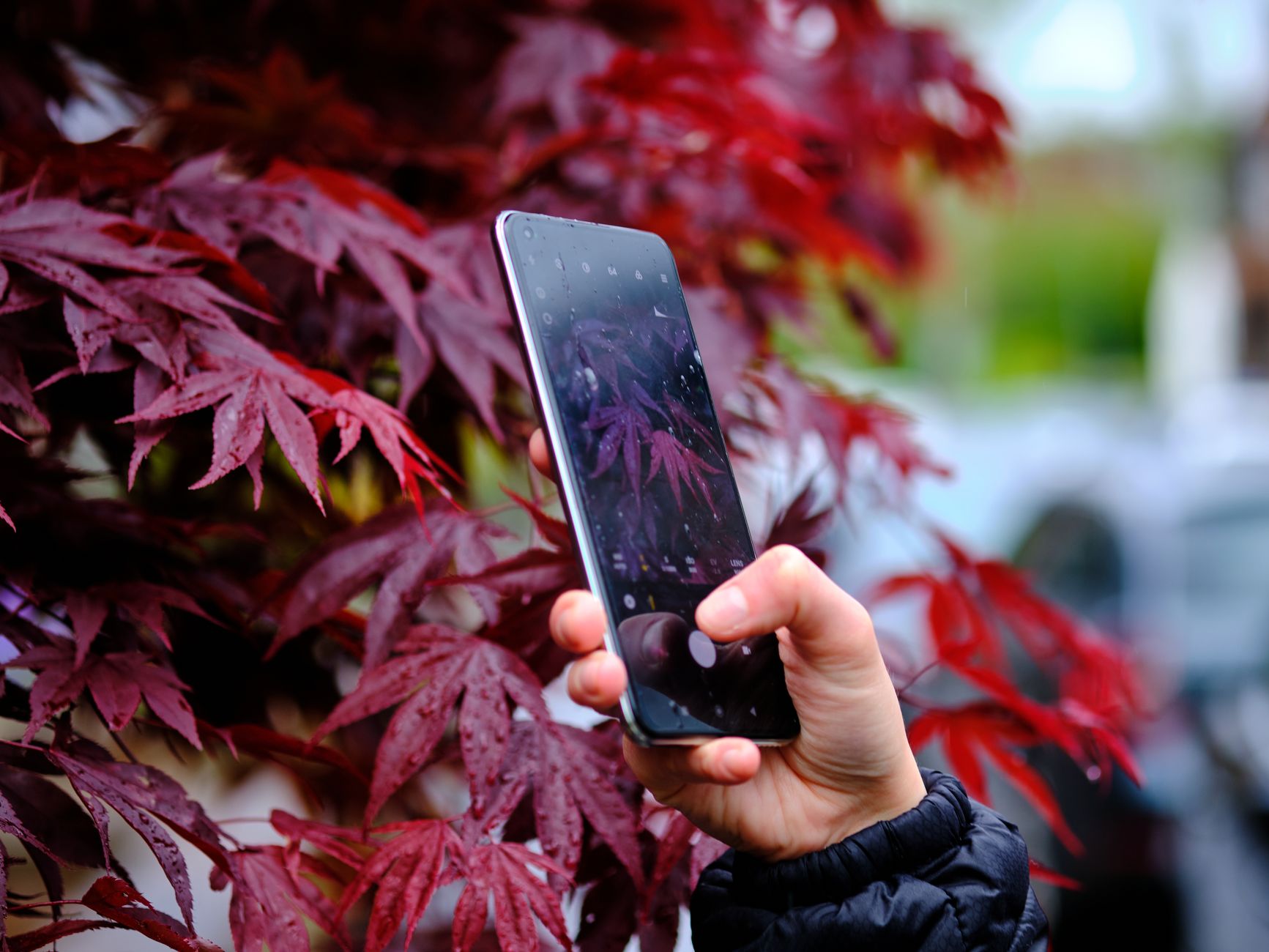 Les smartphones Android en 2026 : comment faire le bon choix pour votre entreprise ?